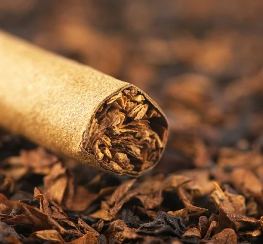 the myths cigar with loose tobacco